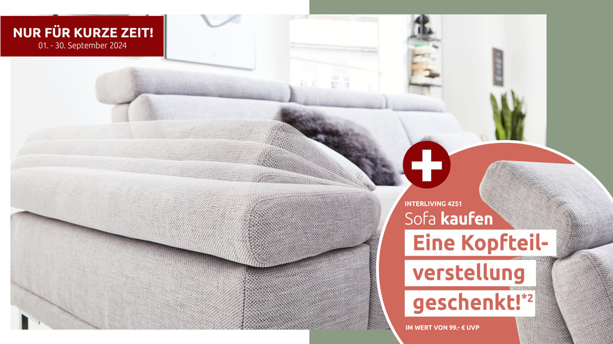 Funktion Interliving aus Metall in Transparent Interliving Sofa Serie 4251 – Armteilverstellung Funktions-Mehrpreis